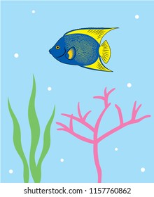 Reef Fish Vector. Coral Fish Illustration. Tropical fish poster wallpaper vector.