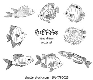 Reef Fishes Sketch Vector Illustration. Hand Drawn Underwater Animals Set. Realistic Nature Elements for Fishing Store, Seafood Design. Vector illustration