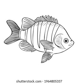 Reef Fishes Sketch Vector Illustration Hand Stock Vector (Royalty Free ...