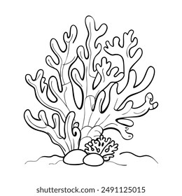 Reef. Icon on a white background. One line