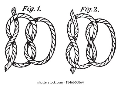 Reef Knot is formed by taking an overhand knot and repeating the overhand knot process, vintage line drawing or engraving illustration.
