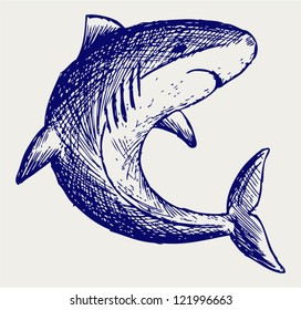 Reef Shark. Doodle style