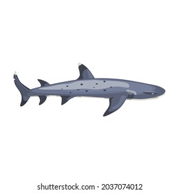 Reef shark isolated on white background. Cartoon character of ocean for children. Simple print with marine mammal. Design for any purposes. Vector illustration.