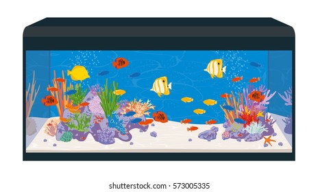 Reef tank. Marine aquarium with fish and corals. Vector illustration