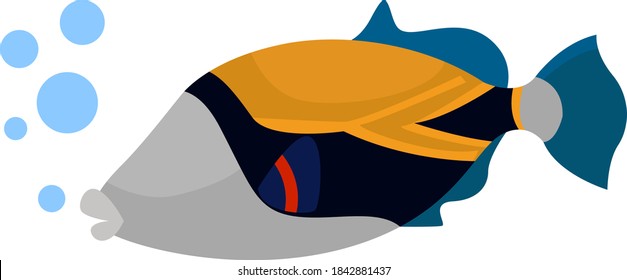 Reef Triggerfish, Illustration, Vector On White Background