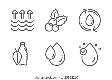 Refill Water, Christmas Holly And Oil Drop Icons Simple Set. Water Bottle, Evaporation And Vitamin E Signs. Recycle Aqua, Ilex Aquifolium. Nature Set. Line Refill Water Icon. Editable Stroke. Vector