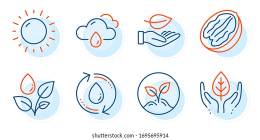 Refill water, Fair trade and Startup signs. Leaf, Sunny weather and Rainy weather line icons set. Pecan nut, Plants watering symbols. Plant care, Sun. Nature set. Outline icons set. Vector