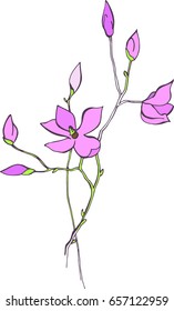Refined magnolia branches