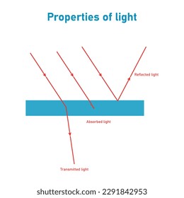 Reflection absorption and transmission of light. Light falls on a surface. Properties of light diagram. Vector illustration isolated on white background.