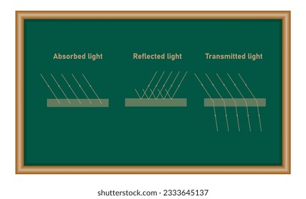 Reflection absorption and transmission of light. Light falls on a surface. Properties of light diagram. Physics resources for teachers and students.