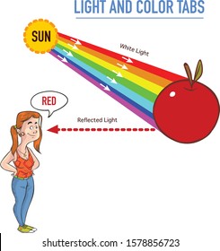 Reflection and absorption vector illustration �