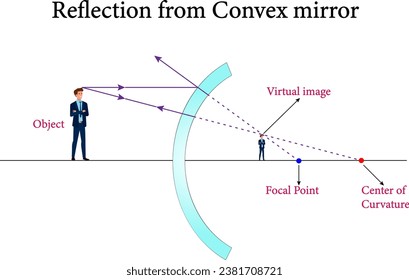 The reflection from convex mirror ,Reflection and spherical mirrors , optics.Vector illustration.