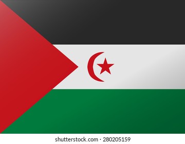 reflection flag sahrawi