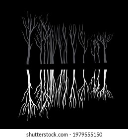 Reflection of a group of gray trees without leaves on a black background
