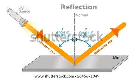 Reflection laws, light diagram. Incident diffused, reflected angle rays. Specular rough mirror surfaces. Vector illustration	
