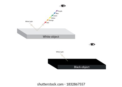 Reflection of light. Black and white object. Physics