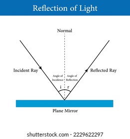 Reflection of light diagram. Incident and reflected ray. Law of reflection in physics. Scientific vector illustration isolated on white background.