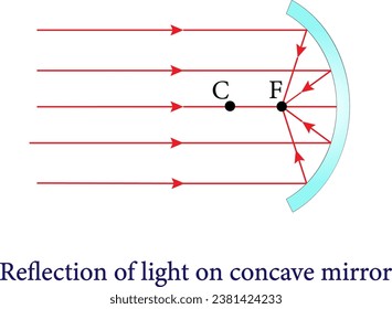 The Reflection of light on concave  mirror , spherical mirrors.Vector illustration.