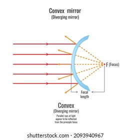 Reflection of light on convex mirror. Illustration showing ray diagrams diverging mirror.