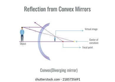 Reflection of light on convex mirror. Illustration showing ray diagrams diverging mirror. Physics, Concave Mirror, Reflection and spherical mirrors.