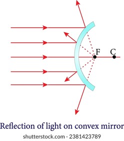 The Reflection of light on convex  mirror , spherical mirrors.Vector illustration.