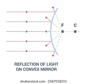 Reflection of Light on a Convex Mirror in Various Contexts and Scenarios