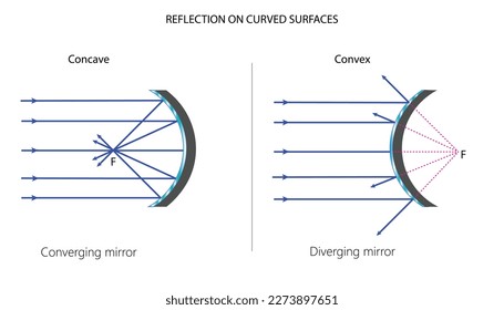 Reflection on convex and concave mirrors