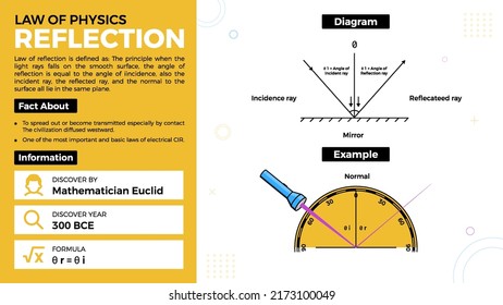 Reflection theory and facts-Laws of Physics Vector Illustration