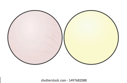  reflector for photography. vector illustration
