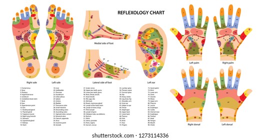 Chinese Foot Reflexology Chart