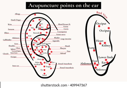 Acupuncture Facelift Points Chart