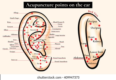 Auricular Acupuncture Chart