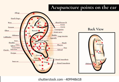 Auricular Acupuncture Chart