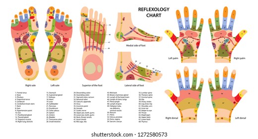 Free Hand And Foot Reflexology Chart