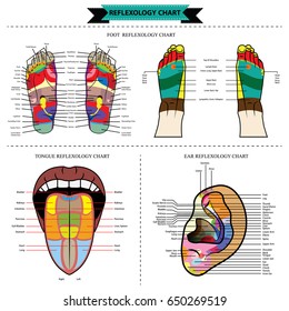 Reiki Foot Chart