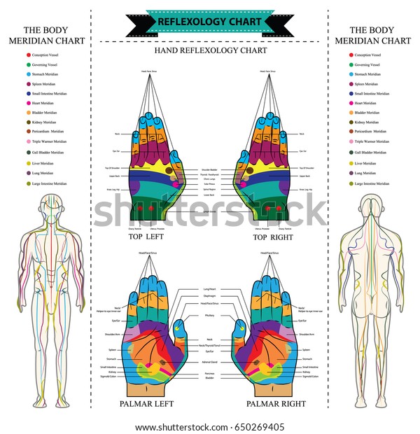 reflexology chart of body anatomy from head to toe and hands linking