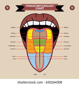 Tongue Chart