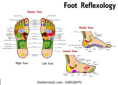 Foot Reflexology Oil Usage Chart