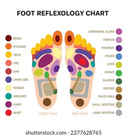 Puntos de masaje de pie de reflexología. acupuntura y puntos de acupresión Terapia Medicina alternativa de pies. zonas de órganos internos