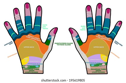 Reflexology Handheld, Hands Backs, Health, Massage