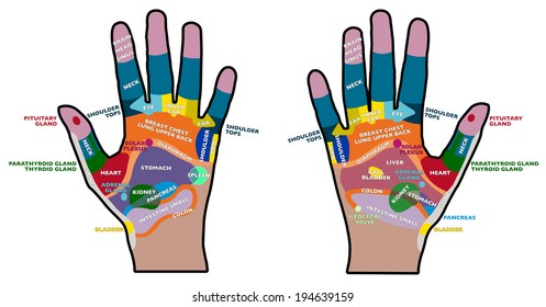 13,423 Hand Reflexology Images, Stock Photos & Vectors | Shutterstock