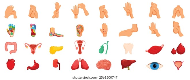 Reflexology icons set. Cartoon icons represent reflexology massage techniques and connected body parts, highlighting holistic health