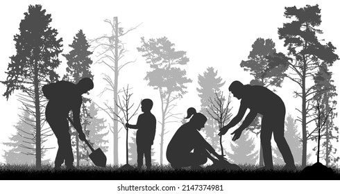 Reforestation, planting trees in forest. People plant bare trees, silhouette. Vector illustration