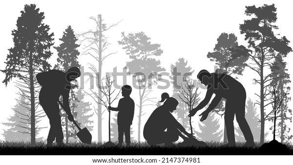 Reforestation, planting trees in\
forest. People plant bare trees, silhouette. Vector\
illustration