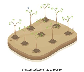 reforestation potential plant a tree green wall of trees environmental conservation isometric factory ecology step vector isolate