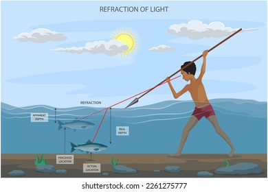 The refraction of light is demonstrated by a human eye looking at a fish in water, where light bends as it passes from water to air, distorting the fish's position