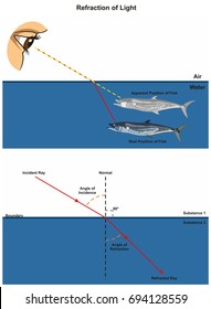 Refraction of Light infographic diagram with an example of human eye looking into fish in water showing incident and refracted rays angles of incidence and refraction for physics science education