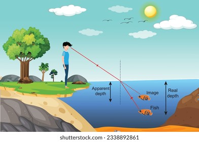  Refraction of light.Refraction When the light travels through the water Making the fish look shallow than true. Physics concept.