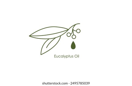 Icono de Vector de aceite de eucalipto refrescante