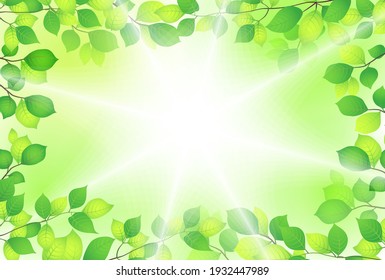 Refreshing fresh green background material